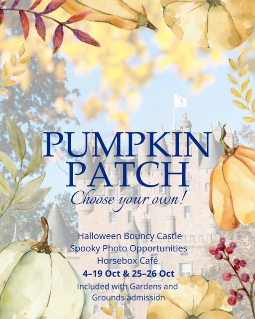 An autumn themed flyer advertising a "PUMPKIN PATCH" event. The background is a slightly blurred photo of a large stone castle under a blue sky. Watercolor illustrations of foliage, leaves, pumpkins, and berries frame the edges of the image. The text "PUMPKIN PATCH" is in a large, dark blue serif font, followed by "Choose your own!" in a cursive script. Below are event details in a smaller font: "Halloween Bouncy Castle," "Spooky Photo Opportunities," "Horsebox Café," and the dates "4–19 Oct & 25–26 Oct." The text at the bottom says the event is "Included with Gardens and Grounds admission."