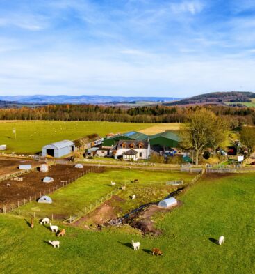 Aerial view of Newton Farm