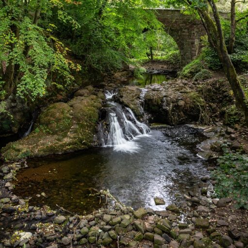 Arbirlot Falls, near Arbroath