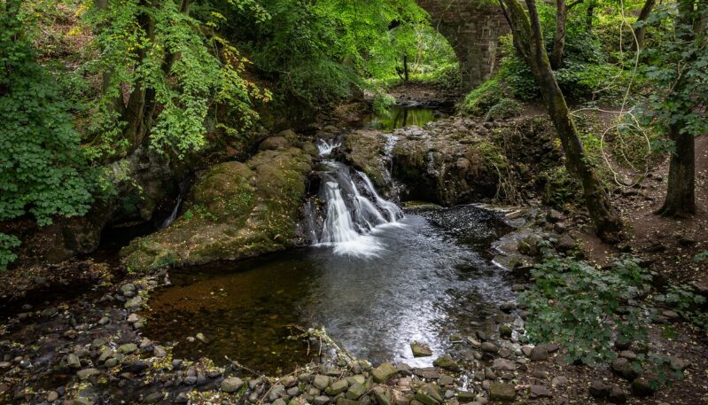 Arbirlot Falls, near Arbroath