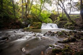 Arbirlot Falls, near Arbroath