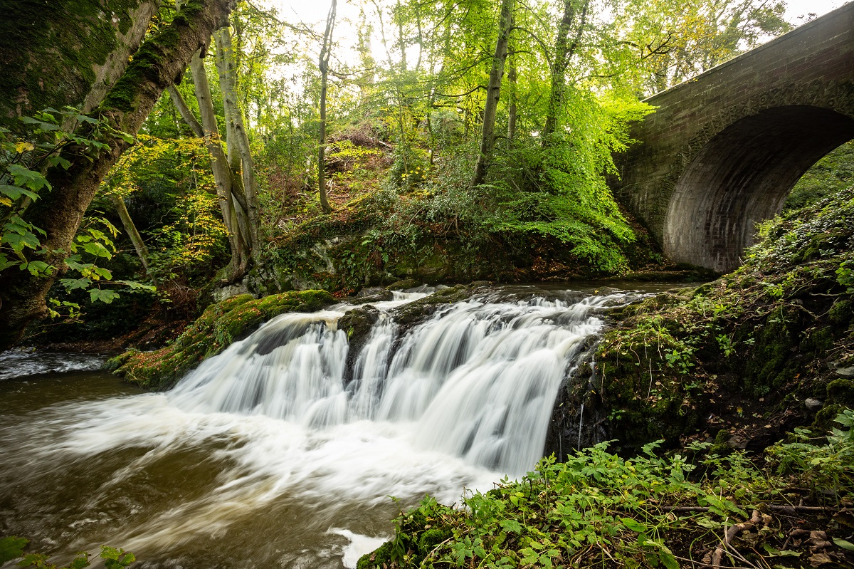 Arbirlot Falls, near Arbroath