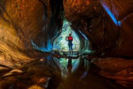 Arbroath Cliff Tours - kayaking, walking and swimming tours of the Arbroath cliffs