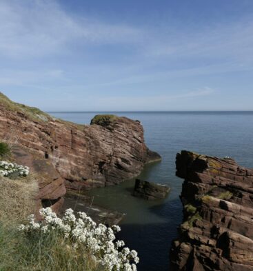 Arbroath Seaton Cliffs, one of Angus' many coastal attractions.