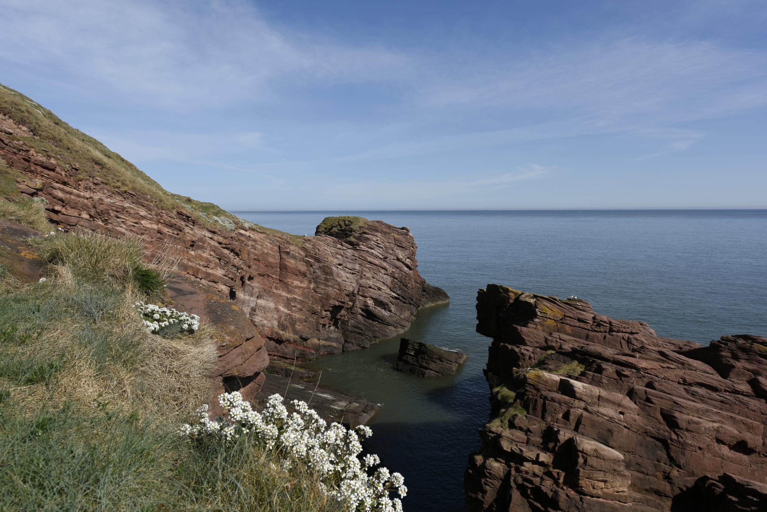 Arbroath Seaton Cliffs, one of Angus' many coastal attractions.