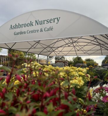 Ashbrook Nursery, Arbroath