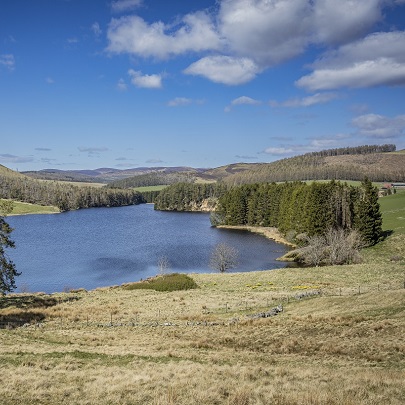 Backwater Reservoir, near Kirriemuir