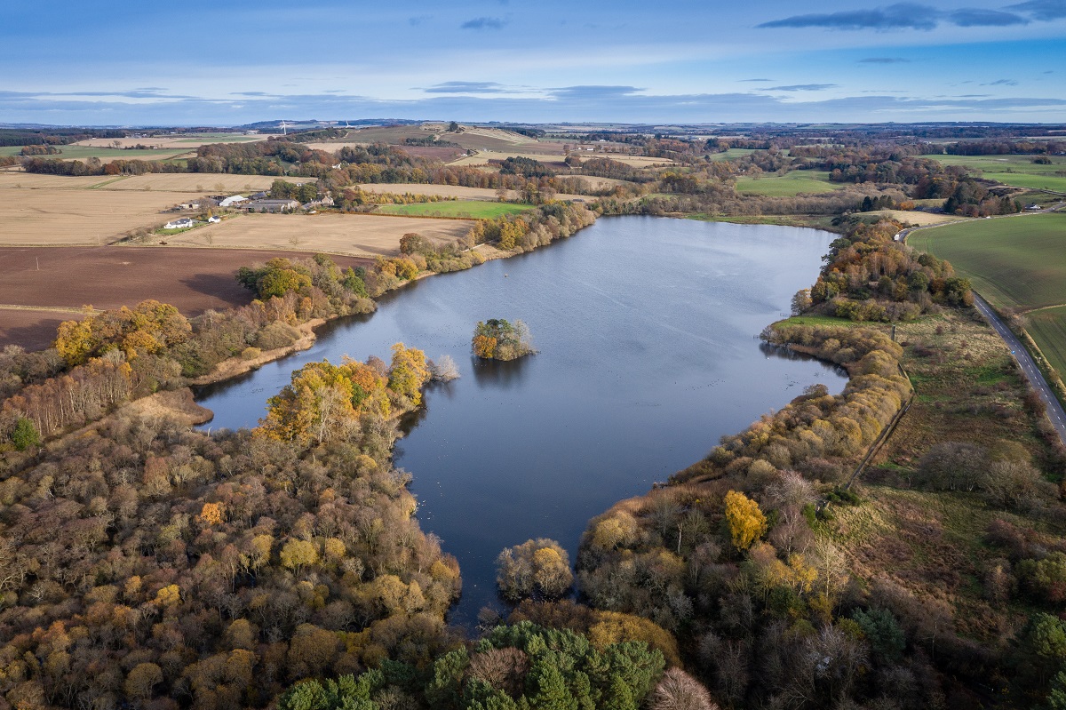Balgavies Loch, near Forfar