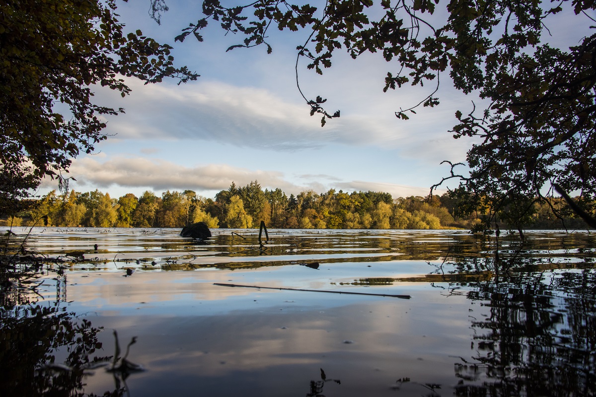 Balgavies Loch, near Forfar