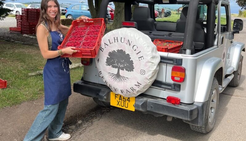 Balhungie Berry Farm, Monifieth
