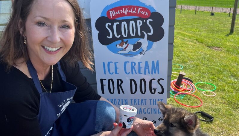 Balhungie Berry Farm, Monifieth