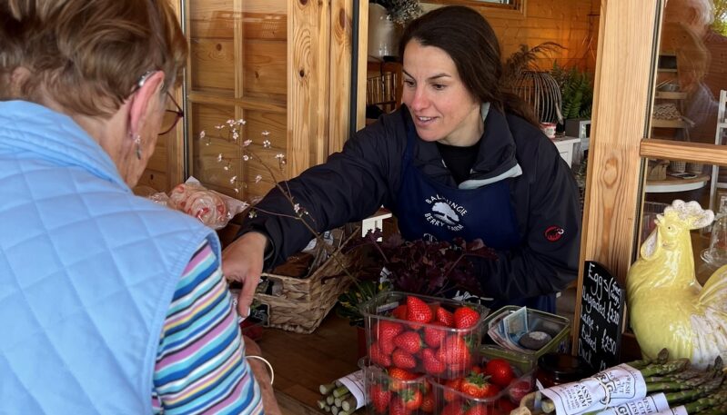 Balhungie Berry Farm, Monifieth