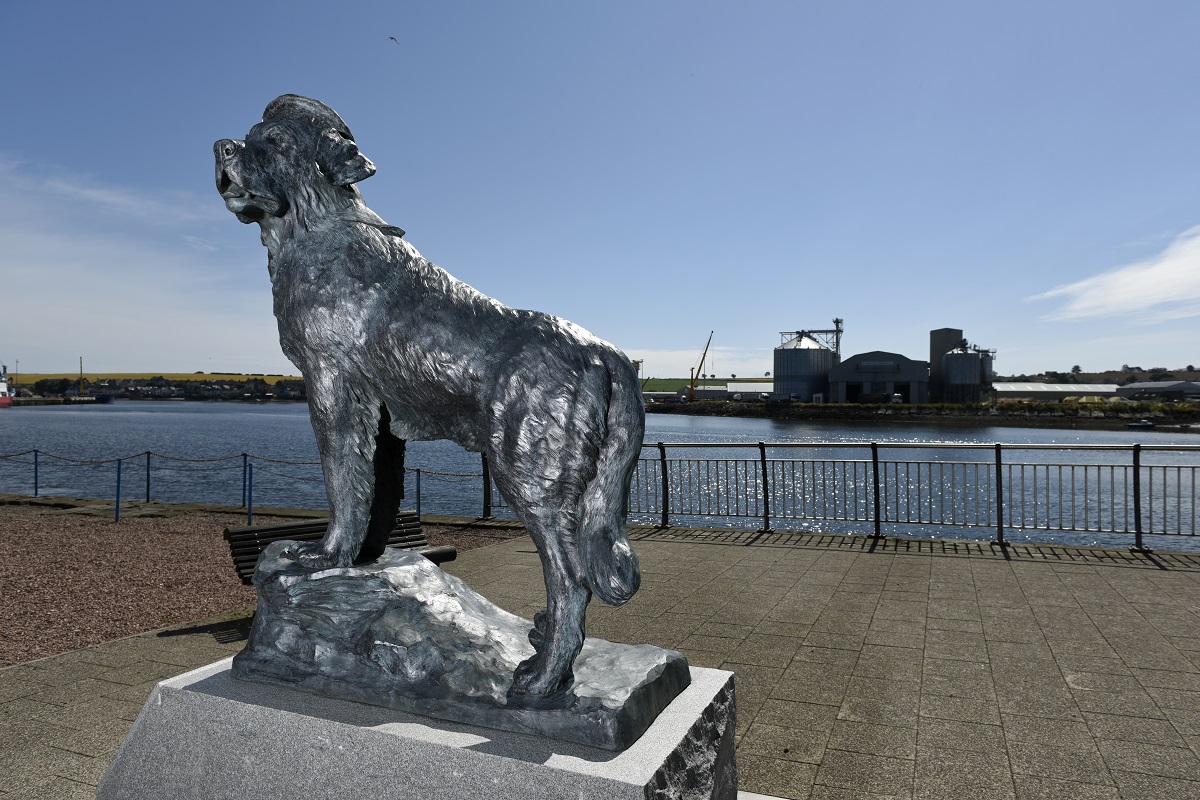 Bamse Statue, Montrose