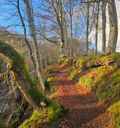 Blue Door Walk, Edzell