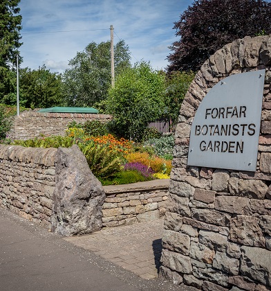 Forfar Botanists Garden