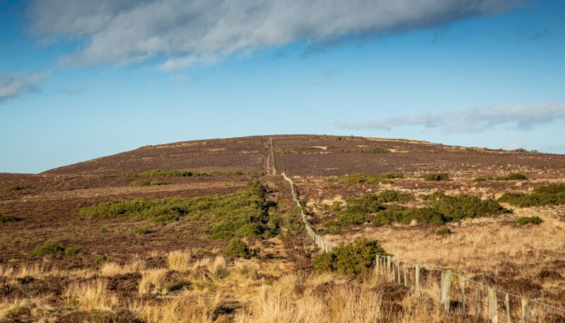 Brown Caterthun, near Edzell
