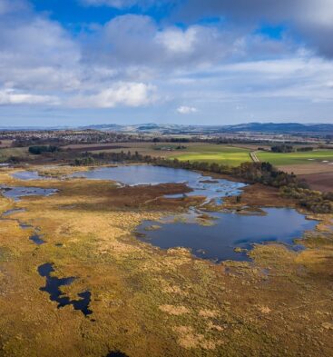 Caddam Woods and Loch of Kinnordy Biking Route