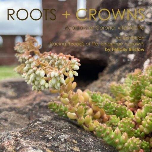 Felicity Bristow : Roots + Crowns exhibition at Arbroath Signal Tower Museum
