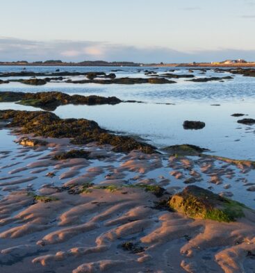 Carnoustie Bay