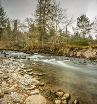 Cortachy River Walk Walking Route