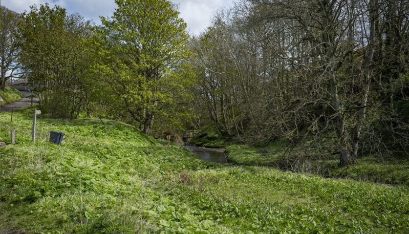 Craigmill Den, Carnoustie