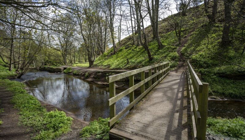 Craigmill Den, Carnoustie
