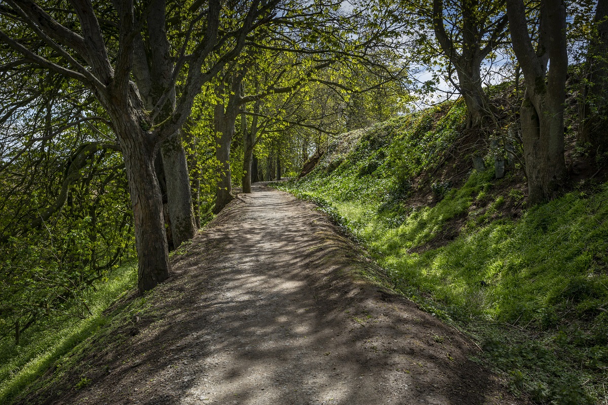Craigmill Den, Carnoustie