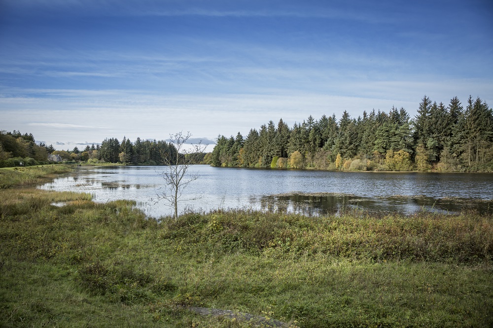 Crombie Country Park Walking Route