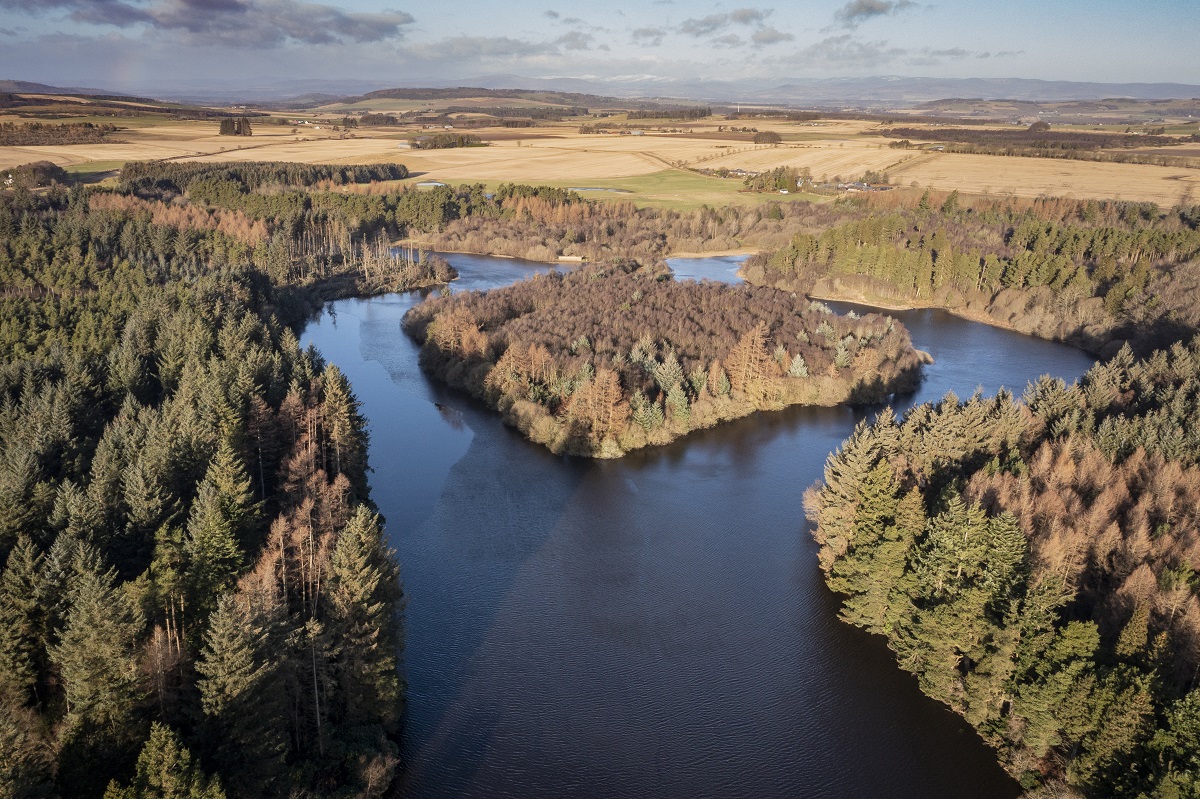 Crombie Country Park, near Monifieth