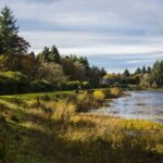 Crombie Country Park, near Monifieth
