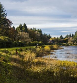Crombie Country Park, near Monifieth