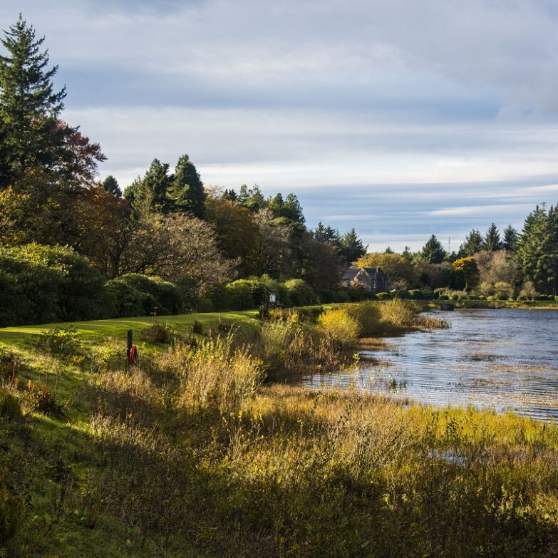 Crombie Country Park, near Monifieth