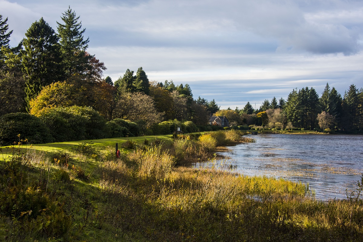 Crombie Country Park, near Monifieth