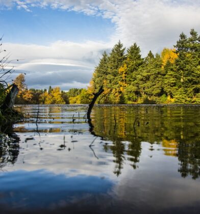 Crombie Country Park, near Monifieth