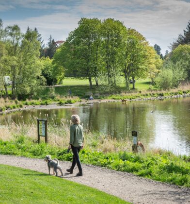 Dog at Forfar Loch