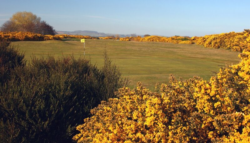 Montrose Broomfield Golf Course