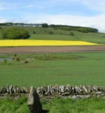 Dunnichen Battle Site and Cairn, near Forfar