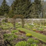 Dunninald Castle and Gardens, Montrose