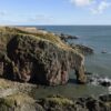 Elephant Rock, Montrose