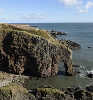 Elephant Rock, Montrose