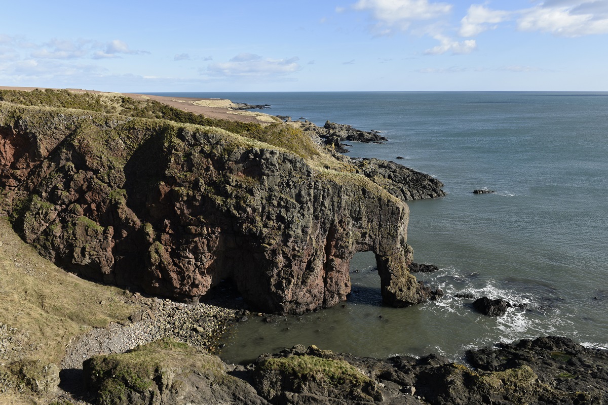 Elephant Rock, Montrose
