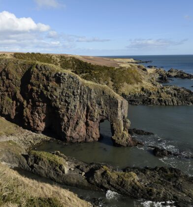 Elephant Rock, Montrose