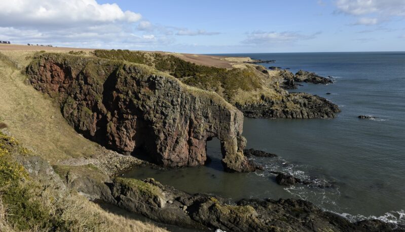 Elephant Rock, Montrose