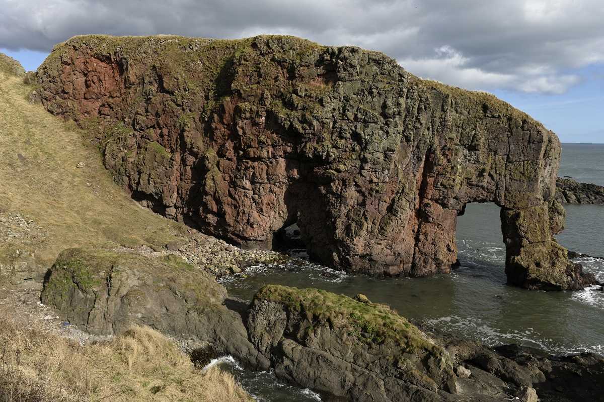 Elephant Rock, Montrose
