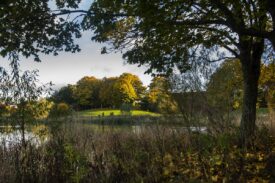 Forfar Loch Country Park