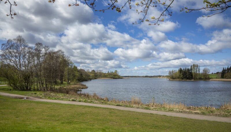 Forfar Loch Country Park