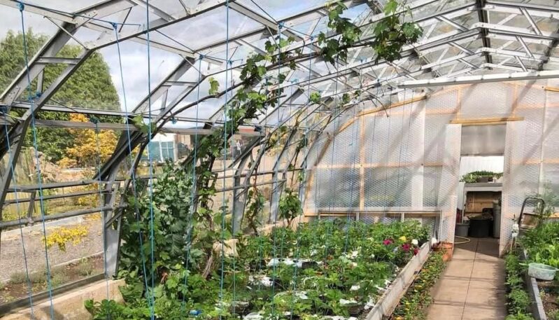The Garden Cafe at Pathhead Farm, Kirriemuir