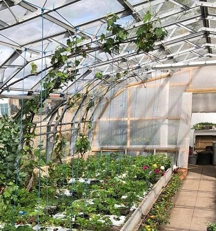 Pathhead Farm, Kirriemuir