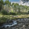Glen Doll, The Angus Glens, Scotland