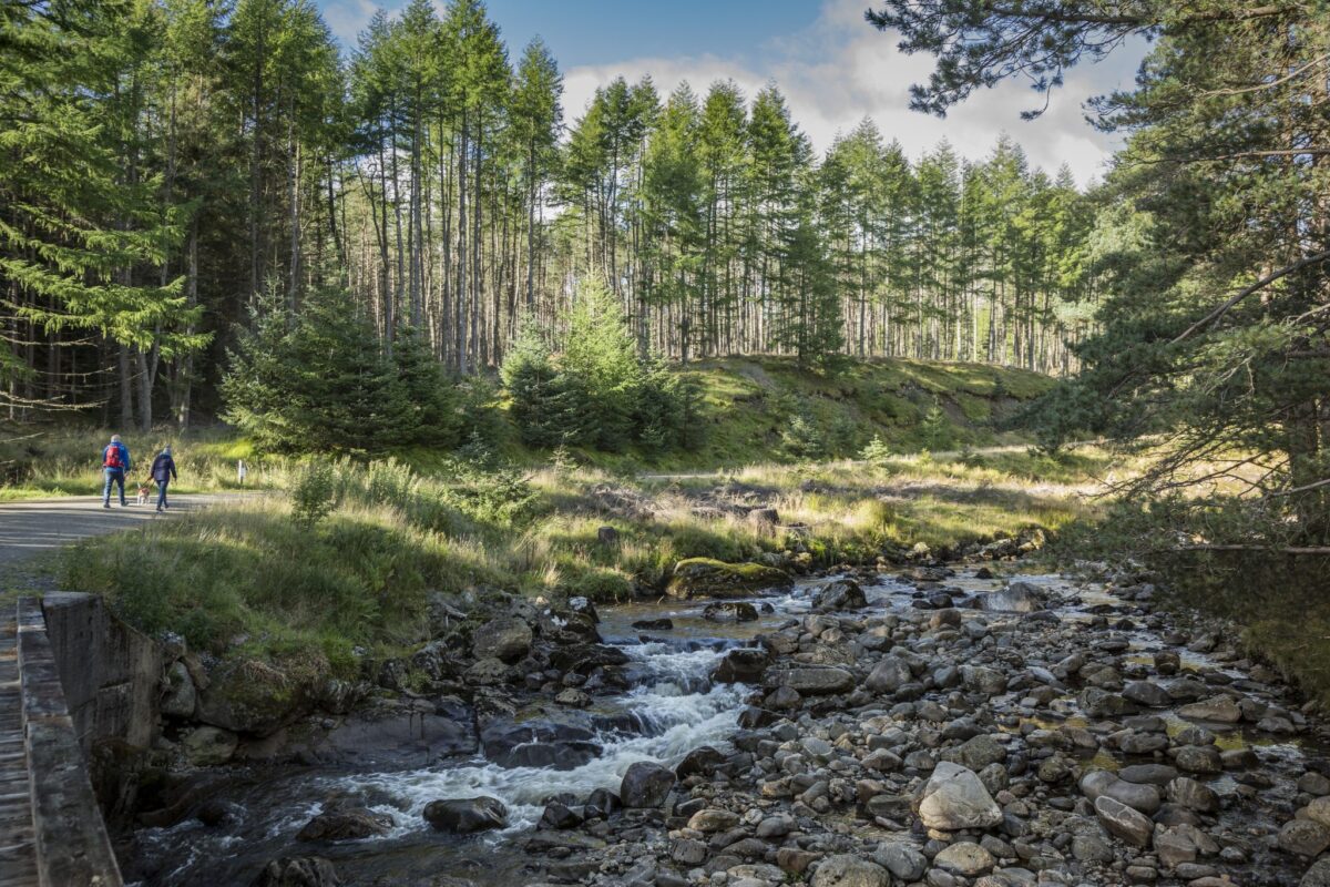 Glen Doll, The Angus Glens, Scotland